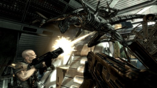 avp-03