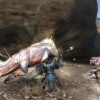 Monster Hunter Tri Review
