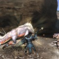 Monster Hunter Tri Review