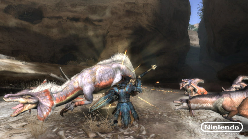 Monster Hunter Tri Review