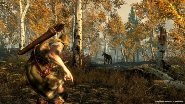 Skyrim Supports Same Sex Marriage