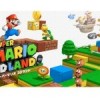 New Suit For Super Mario 3D Land!