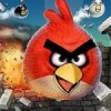 Angry Birds Being Released On PC In Retail