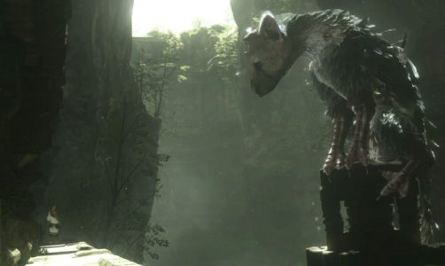 Last-guardian-screenshot-1