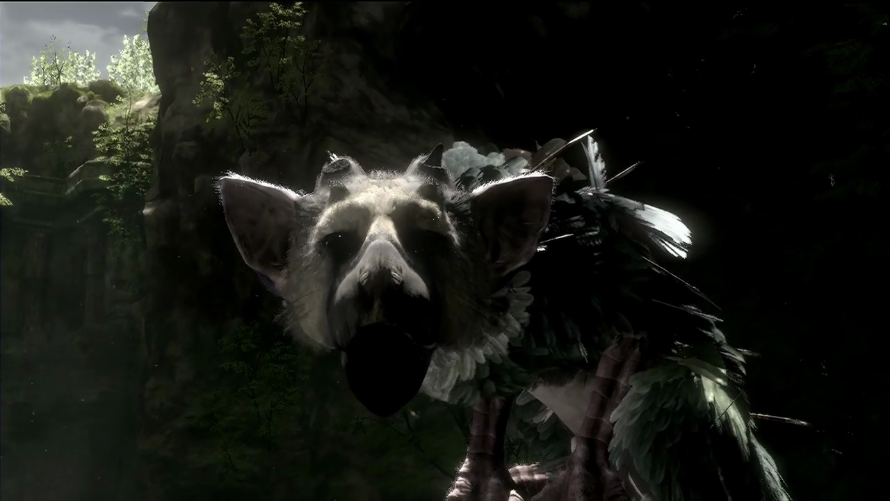 Fumito Ueda Still Working on Last Guardian