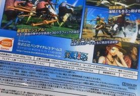 Rumor: Kaizoku Musou has Online Play and More