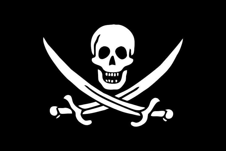 PlayStation Vita Game Card Combats Piracy