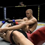 No Flyweight Division DLC For UFC Undisputed 3