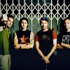 Rage Against The Machine Rocks Rock Band