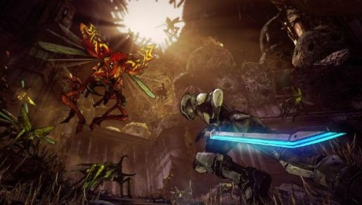 borderlands 2(a)