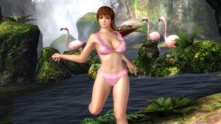 Dead or Alive 5 Collector’s Edition Sexy Swimsuit Collection