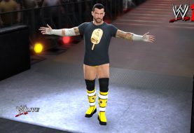 CM Punk Ice Cream Bar Shirt Comes To WWE '13