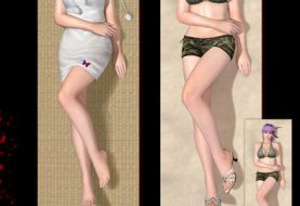 Dead or Alive 5 Life-Sized Pillow Covers Revealed 