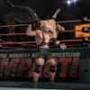Activision Eyeing TNA Wrestling Video Game License