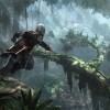 Assassin's Creed IV Black Flag Jungle