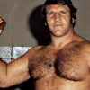 bruno sammartino wwe 2k14
