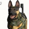call of duty: ghosts dog kinect
