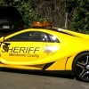 need for speed movie