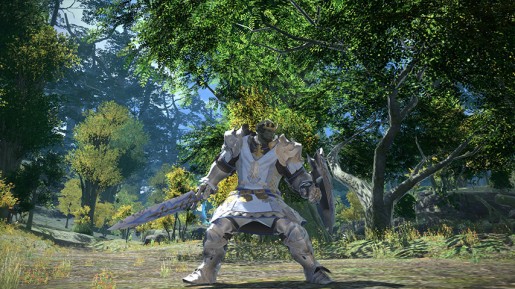 Final Fantasy XIV - Paladin Job