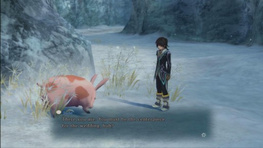 Tales of Xillia - Mon Highlands - Rappig