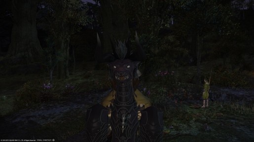 ffxiv_08262013_124248