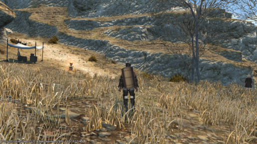 Final Fantasy XIV (2)