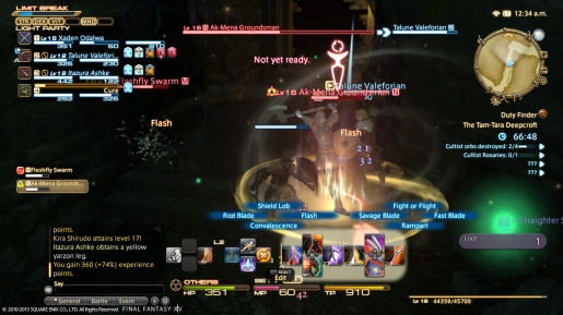 Final Fantasy XIV A Realm Reborn (2)