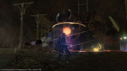 Final Fantasy XIV A Realm Reborn (5)