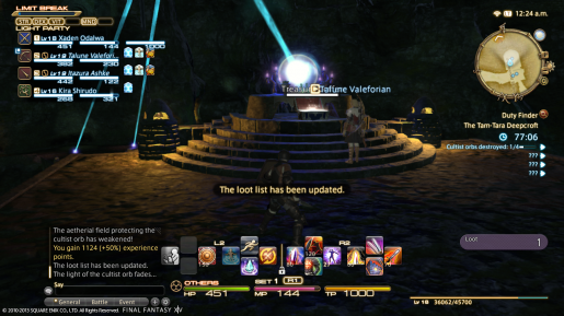 Final Fantasy XIV Overview