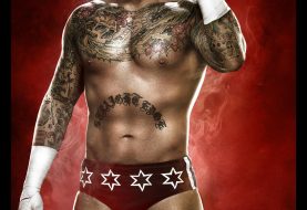 Will CM Punk Make It Into WWE 2K15?