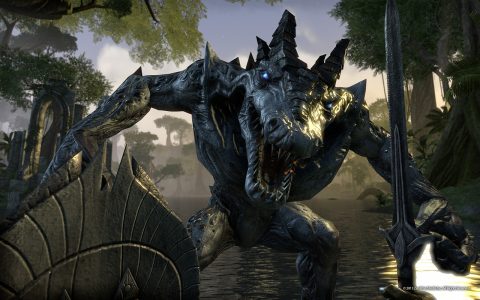 The Elder Scrolls Online Review 04