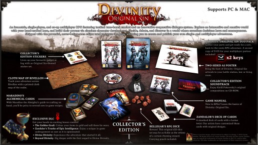 Divinity Original Sin