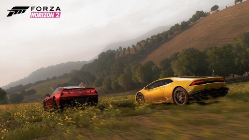 E3-PressKit-10-WM-ForzaHorizon2-jpg