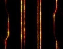 Call of Duty Reveal To Take Place This Weekend