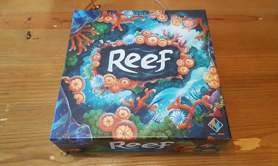 Reef Review – A Sea-riously Great Experience
