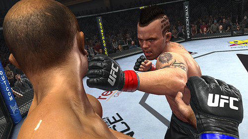 UFC Undisputed 3 has How Many Fighters?