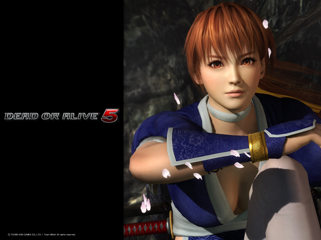 Download Dead Or Alive 5 Wallpaper Just Push Start