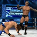 A New WWE ’13 Survey To Be Filled Out
