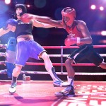 E3 2012: Sony Announces Sports Champion 2 And Dancestar Party Hits