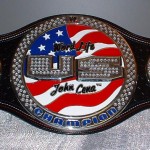 Information On Championships In WWE ’13