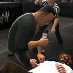 WWE ’13 Fans Vote On Their Favorite Match Type