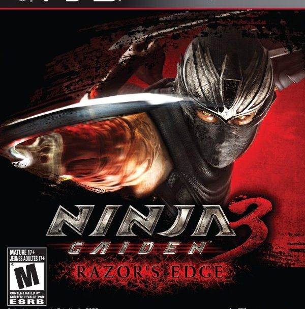 ninja gaiden pc box art