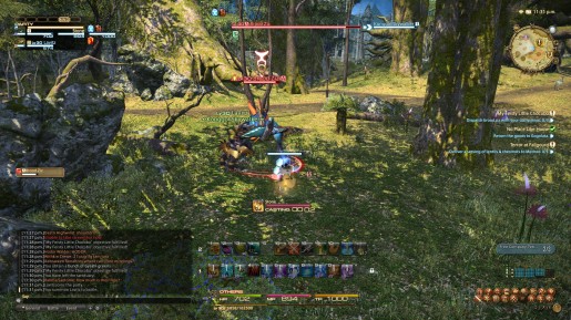 Final Fantasy XIV - Chocobo Guide 04