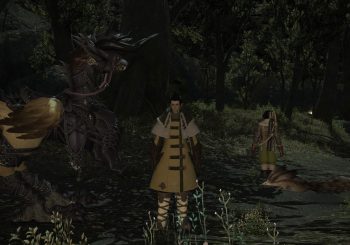 Final Fantasy XIV - How to use your Chocobo in battle
