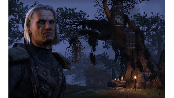 The Elder Scrolls Online sheds details about Character Progression