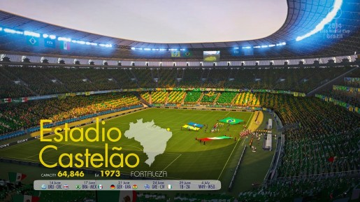 2014 FIFA World Cup Brazil (6)
