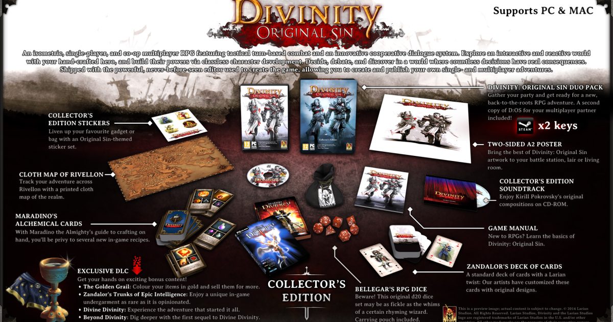 Divinity: Original Sin Collector’s Edition Impresses With Content