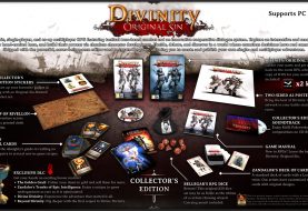 Divinity: Original Sin Collector's Edition Impresses With Content