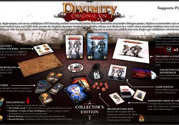 Divinity: Original Sin Collector's Edition Impresses With Content