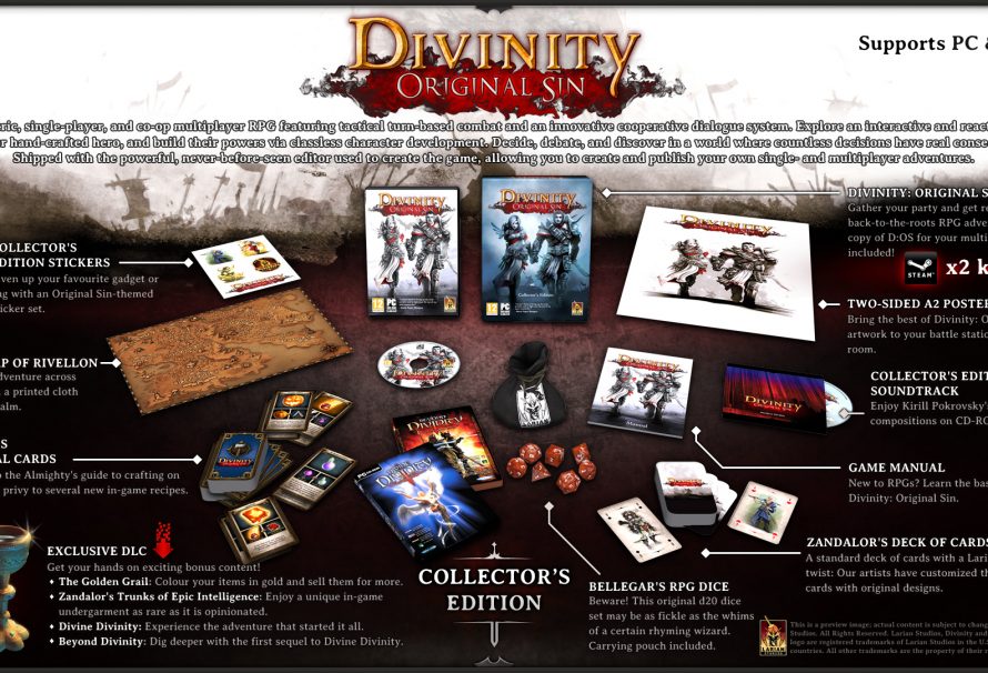 Divinity: Original Sin Collector’s Edition Impresses With Content
